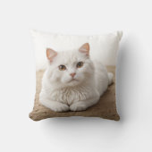 かわいい子猫ピロークッション クッション (正面)