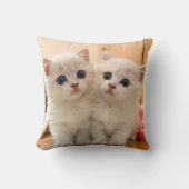 かわいい子猫ピロークッション クッション (正面)