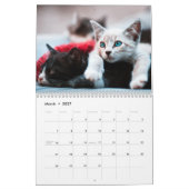 かわいい子猫フォトウォールカレンダー カレンダー (3月 2027)