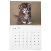 かわいい子猫フォトウォールカレンダー カレンダー (1月 2027)