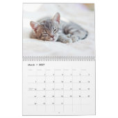 かわいい子猫フォトウォールカレンダー カレンダー (3月 2027)