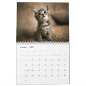 かわいい子猫フォトウォールカレンダー カレンダー (1月 2027)