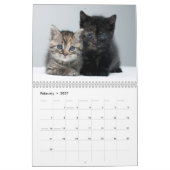 かわいい子猫フォトウォールカレンダー カレンダー (2月 2027)