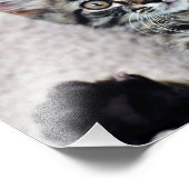 かわいい子猫フォトプリント フォトプリント            (角)