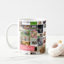 かわいい子猫フォトモンタージュコーラルピンク猫