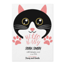 かわいい子猫ベイビー誕生発表