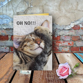 かわいい子猫ベルト誕生日カード カード