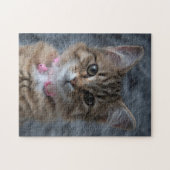 かわいい子猫ポートレート252個ジグソーパズル ジグソーパズル (横)