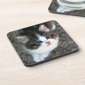 かわいい子猫ポートレート コースター (左側)
