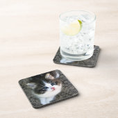 かわいい子猫ポートレート コースター (右側)