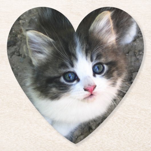 かわいい子猫ポートレート ペーパーコースター (正面)