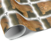 かわいい子猫ラッピング紙 ラッピングペーパー (ロールコーナー)