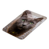 かわいい子猫冷蔵庫用マグネット マグネット (左側)