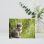 かわいい子猫小学生ウェルカムポストカード ポストカード (スタンド正面)