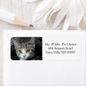 かわいい子猫差出人住所ラベルスタンプ ラベル (インサイチュ)