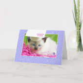 かわいい子猫幼稚園卒園おめでとう カード (正面)