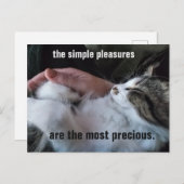 かわいい子猫引用文シンプル楽しみカスタマイズ ポストカード (正面/裏面)