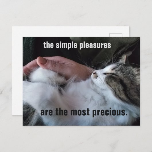 かわいい子猫引用文シンプル楽しみカスタマイズ ポストカード (正面/裏面)