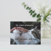 かわいい子猫引用文シンプル楽しみ最大切も ポストカード (スタンド正面)