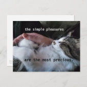 かわいい子猫引用文シンプル楽しみ最大切も ポストカード (正面/裏面)