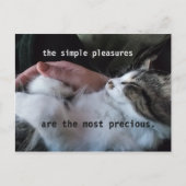 かわいい子猫引用文シンプル楽しみ最大切も ポストカード (正面)