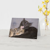 かわいい子猫恋しく思のテンプレート カード (黄色い花)