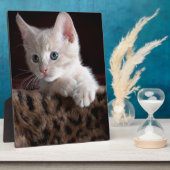 かわいい子猫探し フォトプラーク (側面)