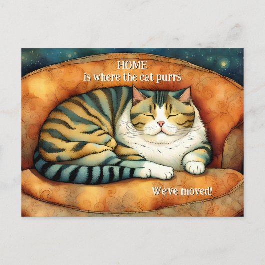 かわいい子猫新しいアドレスの移動 案内ポストカード (正面)