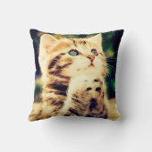 かわいい子猫装飾用クッション クッション (裏面)