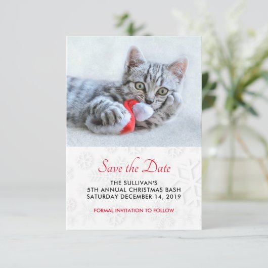 かわいい子猫赤いサンタハットをかむデートを守る セーブザデート (スタンド正面)