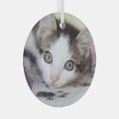 かわいい子猫1枚フォトサークル ガラスオーナメント (正面右)