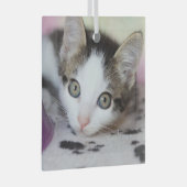 かわいい子猫1枚フォトスクエア ガラスオーナメント (正面右)