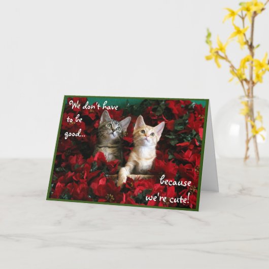 かわいい子猫2匹と赤いポインセタ カード (黄色い花)