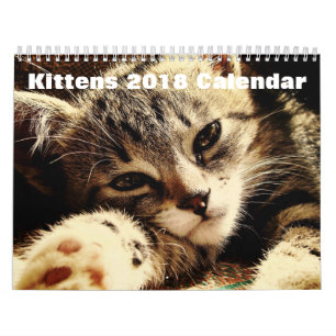 かわいい子猫2018 カレンダー