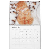 かわいい子猫2024猫ペット写真カレンダー カレンダー (2月 2027)