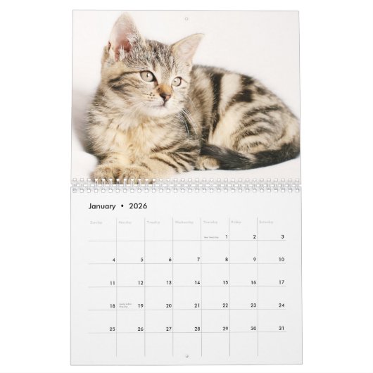 かわいい子猫2024 カレンダー (1月 2026)