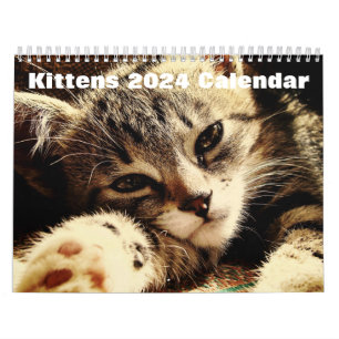 かわいい子猫2024 カレンダー