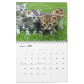 かわいい子猫2025ベンガルトラ カレンダー (3月 2027)