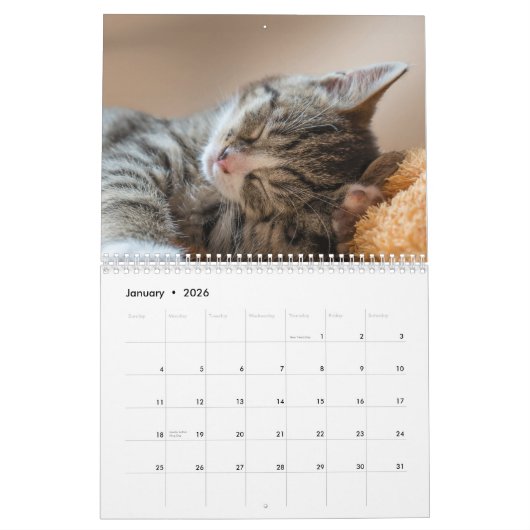かわいい子猫2025 カレンダー (1月 2026)