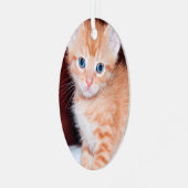 かわいい子猫2 Photo Vertical Oval メタルオーナメント (正面左)