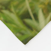 かわいい子猫3匹が一緒に座っている フリースブランケット (角)