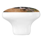 かわいい子猫3匹 セラミックノブ (側面)