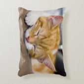 かわいい子猫 アクセントクッション (正面(垂直))