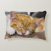 かわいい子猫 アクセントクッション (裏面)