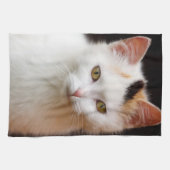 かわいい子猫 キッチンタオル (横)