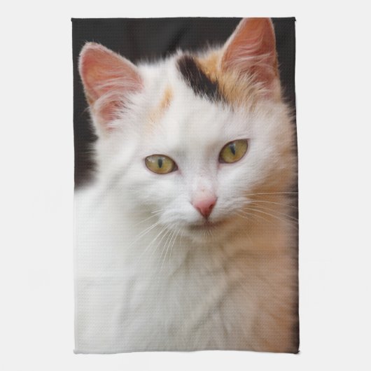 かわいい子猫 キッチンタオル (縦)