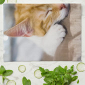 かわいい子猫 キッチンタオル (折り畳み)