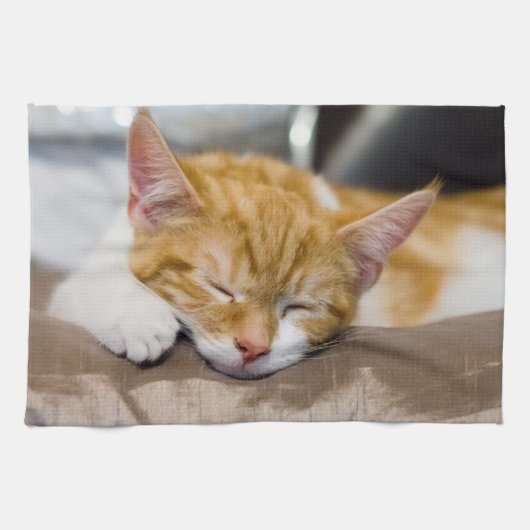 かわいい子猫 キッチンタオル (横)