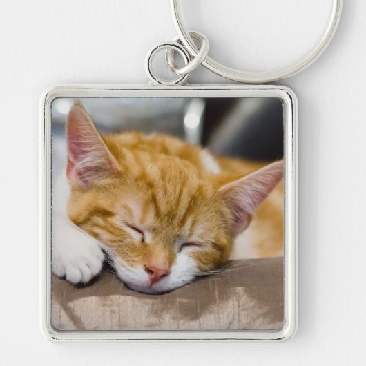 かわいい子猫 キーホルダー (正面)