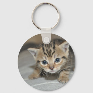 かわいい子猫 キーホルダー